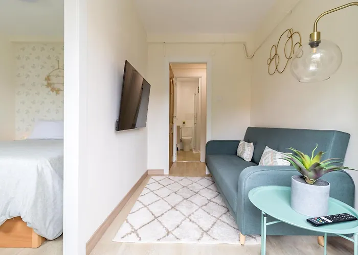 Precioso En El Centro Recien Reformado Apartment *